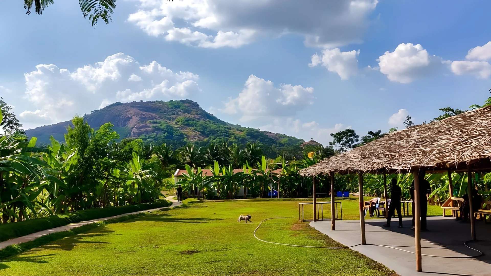 Nature Adventure Camping, Kanakapura&nbsp;